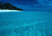 Australia, qld, queensland, heron, heron island, island, islands, beach, beaches, coast, coasts, coastline, coastlines.