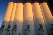 Australia, wa, western australia, Rural, Rural Scene, Rural Scenes, Farming, Farmland, farm, farms, Agriculture, storage, grain storage, grain silo, grain silos, silo, silos, cereal, cereals, cereal storage, rural, rural scene, rural scenes, three springs.