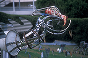 Australia, sa, south australia, adelaide, elder park, art, metal.