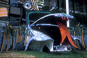 Australia, sa, south australia, adelaide, elder park, art, car, cars.