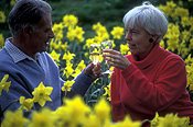 People, couple, couples, woman, women, female, females, man, men, male, males, flower, flowers, Flora, narcissus, daffodil, daffodils, yellow, yellow flower, yellow flowers, wine, alcohol, wine glass, wine glasses, outdoors, celebrate, celebrates, celebration, Australia, Sport pictures, Sports, balloon images, hot air balloons