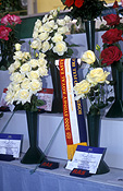 Flower, flowers, Flora, flower show, flowers shows, show, shows, agriculture, royal show, royal shows, royal easter show, royal easter shows, produce, sydney, nsw, new South Wales, australia, prize, prizes, ribbon, ribbons, flower display, flower displays, winner, winners, award, awards, vase, vases, vase of flowers, vases of flowers, champion, champions, rose, roses, rosa, Flora.