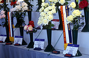 Flower, flowers, Flora, flower show, flowers shows, show, shows, agriculture, royal show, royal shows, royal easter show, royal easter shows, produce, sydney, nsw, new South Wales, australia, prize, prizes, ribbon, ribbons, flower display, flower displays, winner, winners, award, awards, vase, vases, vase of flowers, vases of flowers, champion, champions, rose, roses, rosa, Flora.