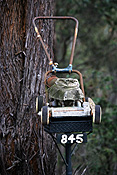 Communication, mail, post, postal, letterbox, letterboxes, letter box, letter boxes, mail box, mail boxes, mower, mowers, lawnmower, lawnmowers, lawn mower, lawn mowers.