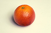 Fruit, Citrus, Citrus fruit, citrus fruits, Citrus sinensis, sinensis, orange, oranges, blood orange, blood oranges, pigmented, pigmented orange, pigmented oranges, Rutaceae.