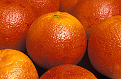 Fruit, Citrus, Citrus fruit, citrus fruits, Citrus sinensis, sinensis, orange, oranges, blood orange, blood oranges, pigmented, pigmented orange, pigmented oranges, Rutaceae.