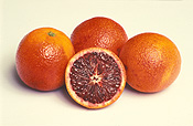 Fruit, Citrus, Citrus fruit, citrus fruits, Citrus sinensis, sinensis, orange, oranges, blood orange, blood oranges, pigmented, pigmented orange, pigmented oranges, Rutaceae.