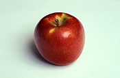 Food, fruit, apple, apples, braeburn, braeburn apple, braeburn appls, malus, domestica, malus domestica.