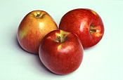 Food, fruit, apple, apples, braeburn, braeburn apple, braeburn appls, malus, domestica, malus domestica.