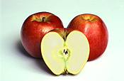 Food, fruit, apple, apples, braeburn, braeburn apple, braeburn appls, malus, domestica, malus domestica.
