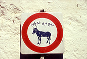 Morocco, fez, donkey, donkeys, sign, signs, roadsign, roadsigns, road sign, road signs, circle, circles, circular.