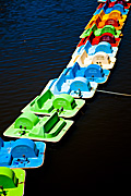 Australia, sa, south australia, adelaide, elder park, torrens, torrens river, river torrens, boat, boats, paddle, paddleboat, paddleboats, paddle boat, paddle boats.
