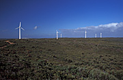 Windmill, Windmills, Wind farm, Wind farms, windpower plant, windpower plants, wind power plant, wind power plants, wind turbine, wind turbines, turbine, turbines, windmill farm, windmill farms, technology, energy, engineering, sky, skies, blue sky, blue skies, renewable, renewable energy, australia, western australia, wa, esperance, rotor, rotor blade, rotor blades, blade, blades.