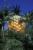 Australia, qld, queensland, sunshine coast, pineapple, pineapples, fruit, big thing, big things, palm tree, palm trees, big pineapple.