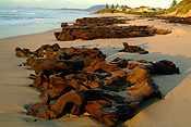 Australia, New South Wales, lake, lakes, cathie, lake cathie, rock, rocks, beach, beaches, shoreline, shorelines, sand.