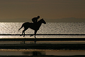 Australia, qld, queensland, sandgate, race horse, race horses, animal, animals, horse, horses, jockey, jockeys, Sport pictures, Sports, man, men, male, males, occupation, occupations, outdoors, beach, beaches, coast, coasts, coastline, coastlines, water, sandgate.
