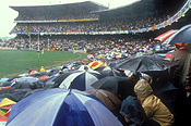 Australia, Sport pictures, Sports, stadium, stadiums, arena, arenas, sports arena, sports arenas, sports stadium, sports stadium, weather, rain, rains, raining, football, western australia, oval, ovals, grand final, grand finals, subiaco, wa, people, crowd, crowds, umbrella, umbrellas, sports ground, sports grounds, seat, seats, seating.