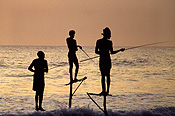 Sri lanka, people, men, man, male, males, coast, coasts, coastline, coastlines, seashore, seashores, shoreline, shorelines, fishing, fishermen, fisherman, stilt, stilts, koggala.
