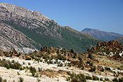 Australia, tas, tassie, tasmania, queenstown.