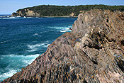 Australia, tas, tassie, tasmania, gorilla bay, coast, coasts, coastline, coastlines, rock, rocks.
