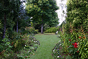 Australia, tas, tassie, tasmania, Edith Creek, garden, gardens, allendale, allendale garden, allendale gardens, lawn, lawns.