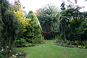 Australia, tas, tassie, tasmania, Edith Creek, garden, gardens, allendale, allendale garden, allendale gardens, lawn, lawns.