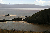 Australia, tas, tassie, tasmania, bruny, bruny island, island, islands, coast, coasts, coastal, coastline, coastlines.
