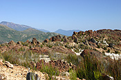 Australia, tas, tassie, tasmania, queenstown.