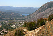 Australia, tas, tassie, tasmania, queenstown.
