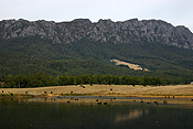 Australia, tas, tassie, tasmania, mole creek.