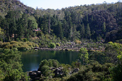 Australia, tas, tassie, tasmania, launceston, cataract, cataract gorge, gorge, gorges, forest, forests.