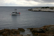 Australia, tas, tassie, tasmania, bicheno, boat, boats, boating, vehicle, vehicles, fishing, fishing industry, fishing boat, fishing boats, industry, commercial, commercial fishing, trawler, trawlers, fishing trawler, fishing trawlers, coast, coasts, coastal, coastline, coastlines.