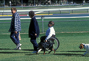 Australia, people, RSPCA, man, men, male, males, outdoors, disabled, disability, disabilities, disabled people, medical equipment, wheelchair, wheelchairs, paraplegic, paraplegics, handicapped, handicapped people, charity, charities, rspca, million paws, million paws walk, animal, animals, dog, dogs, adelaide, sa, south australia.