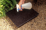 Gardener, gardeners, gardening, seed, seeds, water, waters, watering, tray, trays, seed tray, seed trays, hand, hands, spray, sprays, spraying.