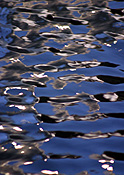 Australia, wa, western australia, lake, lakes, water, pattern, patterns, reflection, reflections.