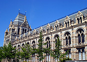 Europe, Western Europe, UK, Britain, British Isles, England, United Kingdom, Great Britain, London, Architecture, city, cities, museum, museums, natural history, natural history museum, natural history museums, window, windows, arch, arches, archway, archways.