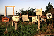 Communication, mail, post, postal, letterbox, letterboxes, letter box, letter boxes, mail box, mail boxes, tas, tassie, tasmania, australia.