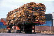 Australia, sa, south australia, port adelaide, adelaide, logs, logging, logging industry, timber industry, timber industry, lumber, transport, transportation, vehicle, vehicles, transportation, traileer, trailers, truck, trucks.