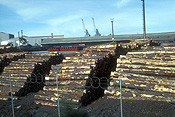 Australia, sa, south australia, port adelaide, adelaide, logs, logging, logging industry, timber industry, timber industry, lumber, dockyard, dockyards, fence, fences.
