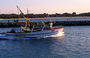 Australia, qld, queensland, mooloolaba, boat, boats, boating, vehicle, vehicles, fishing, fishing industry, fishing boat, fishing boats, industry, commercial, commercial fishing, trawler, trawlers, fishing trawler, fishing trawlers, breakwater, breakwaters, sea, seas, ocean, oceans, water, water scene, water scenes, breakwater, breakwaters.