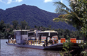 Australia, qld, queensland, daintree, great dividing range, daintree river, river, rivers, daintree np, daintree national park, national park, national parks, ferry, ferries, barge, barges, vehicle ferry, vehicle ferries, transport, transportation, vehicle, vehicles, transportation, bus, buses.