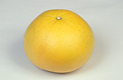 Fruit, grapefruit, grapefruits, citrus, grandis, citrus grandis, citrus fruit, citrus fruits, pummelo, pummelos, thai pink, thai pink pummelo, thai pink pummelos, pamplemousse, shaddock, shaddocks.