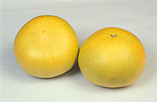 Fruit, grapefruit, grapefruits, citrus, grandis, citrus grandis, citrus fruit, citrus fruits, pummelo, pummelos, thai pink, thai pink pummelo, thai pink pummelos, pamplemousse, shaddock, shaddocks.