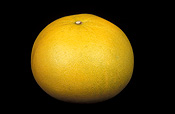 Fruit, grapefruit, grapefruits, citrus, grandis, citrus grandis, citrus fruit, citrus fruits, pummelo, pummelos, thai pink, thai pink pummelo, thai pink pummelos, pamplemousse, shaddock, shaddocks.