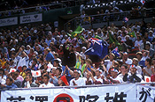 Australia, people, Sport pictures, Sports, stadium, stadiums, nsw, new South Wales, sydney, homesbush, arena, arenas, sports arena, sports arenas, sports stadium, sports stadium, crowd, crowds, sports ground, sports grounds, flag, flags, australian, australian flag, australian flags.