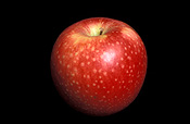 Food, fruit, apple, apples, sundowner apple, sundowner apples, sundowner, sundowners, malus, malus domestica, domestica, red apple, red apples.