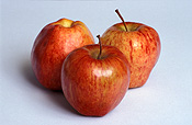 Food, fruit, apple, apples, sundowner apple, sundowner apples, sundowner, sundowners, malus, malus domestica, domestica, red apple, red apples.