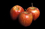 Food, fruit, apple, apples, cameo, cameo apple, cameo apples, cameo, malus, malus domestica, red, red apple, red apples, domestica.