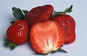 Food, Fruit, Strawberry, strawberries, Fragaria, Camerosa, Camerosa strawberry, camerosa strawberries, Berry Fruits.