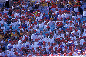 Australia, people, Sport pictures, Sports, child, children, stadium, stadiums, nsw, new South Wales, sydney, homesbush, arena, arenas, sports arena, sports arenas, sports stadium, sports stadium, crowd, crowds, sports ground, sports grounds.